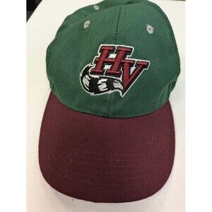 VINTAGE Hudson Valley Renegades MiLB Youth Adjustable SNAPBACK NY Yankees Green